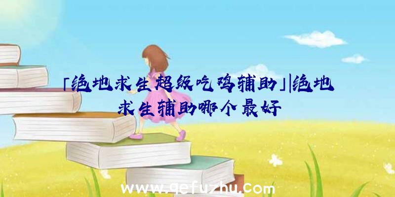 「绝地求生超级吃鸡辅助」|绝地求生辅助哪个最好